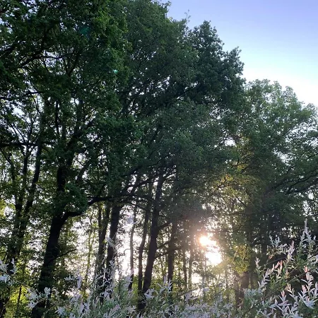 Bed & Breakfast Puur Putten, Met Prive Sauna *