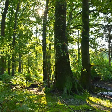 Puur Putten, Met Prive Sauna 3*