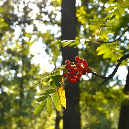 Puur Putten, Met Prive Sauna
