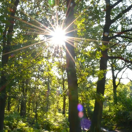 Puur Putten, Met Prive Sauna Alojamento de Acomodação e Pequeno-almoço Putten