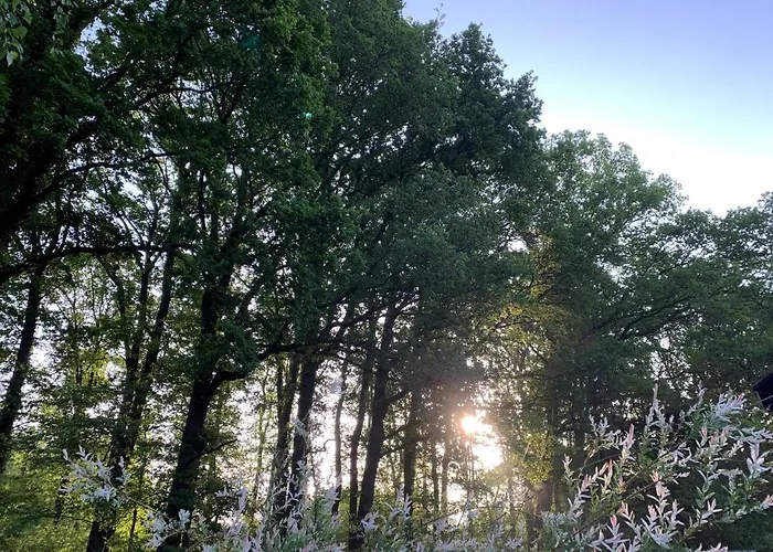 Bed & Breakfast Puur Putten, Met Prive Sauna 3*