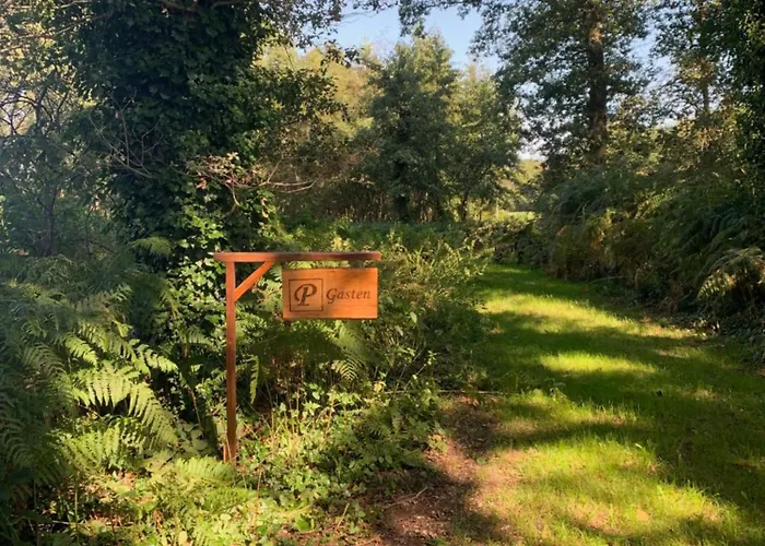 Bed & Breakfast Puur Putten, Met Prive Sauna