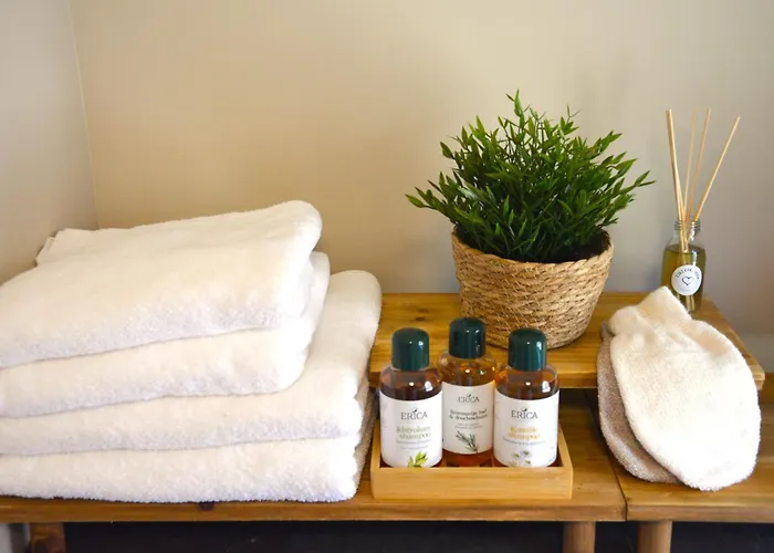 Puur Putten, Met Prive Sauna 3* Putten