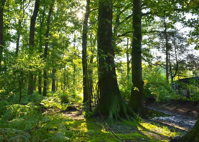 Puur Putten, Met Prive Sauna 3*