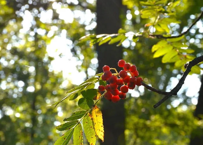 Puur Putten, Met Prive Sauna