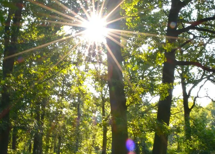 Puur Putten, Met Prive Sauna לינה וארוחת בוקר פוטן